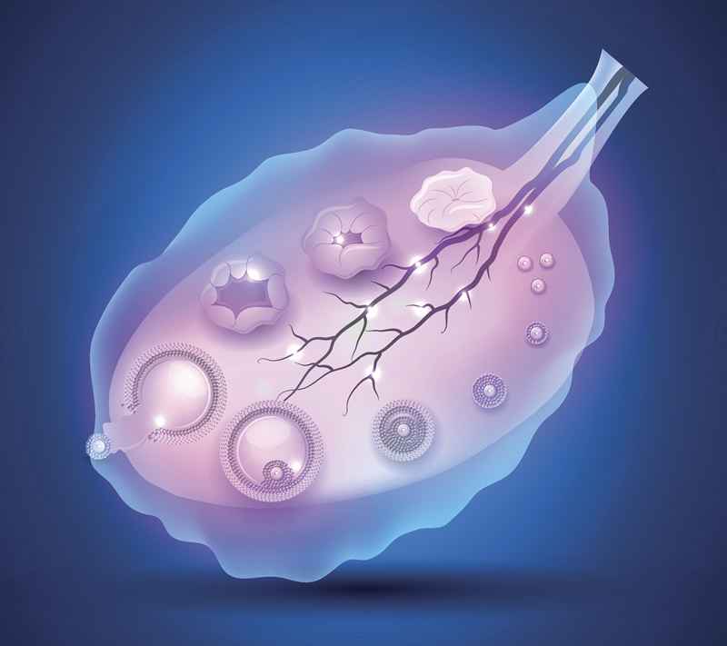 〖2026东莞试管私名单公布 2026年终评比结果〗